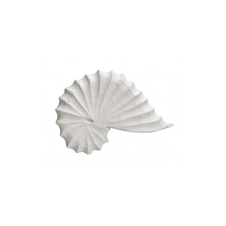 copy of 